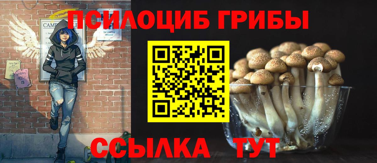 Псилоцибиновые грибы мицелий Джанкой